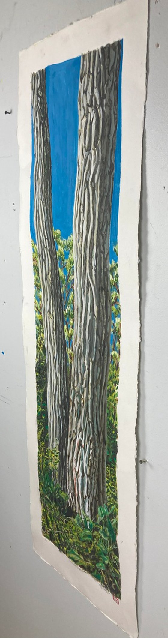 Cottonwood Pair