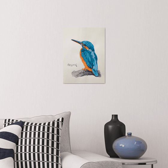 Kingfisher from the collection "Watercolor birds"