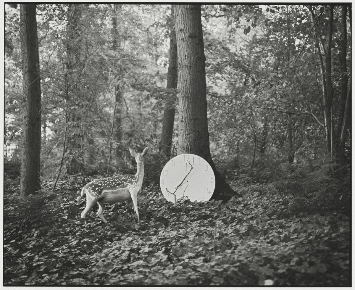 The Deer and the Clock (Large size) by Vikram Kushwah Pictures