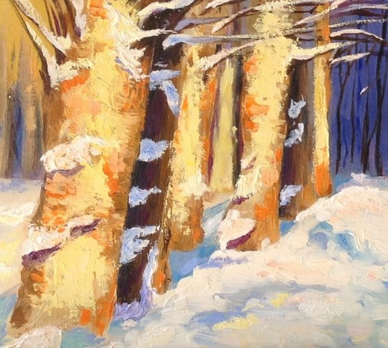 Poplars in the snow
