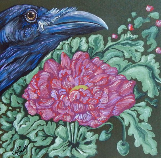 Raven Crow Bird and Poppies-Acrylic Gouache-10 x 10 Stretched Canvas-Carla Smale