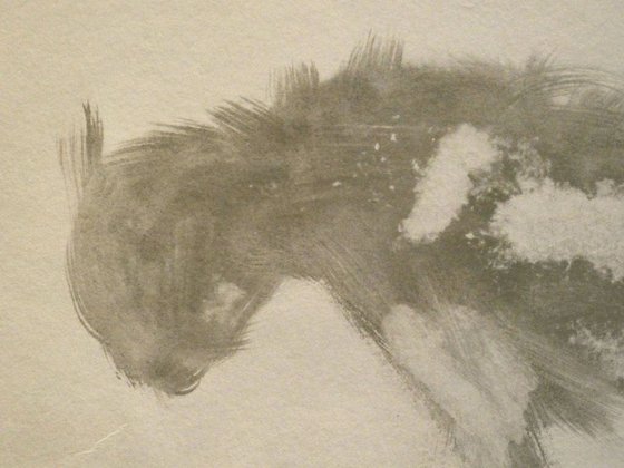 Fluffy Grey Cat, ink drawing 29x42 cm
