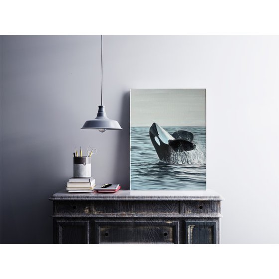 Smiling Orca