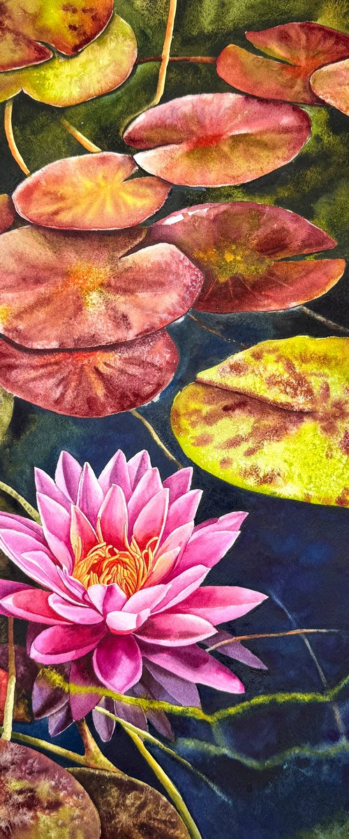Water Lilies by Yuliia Prokopchuk