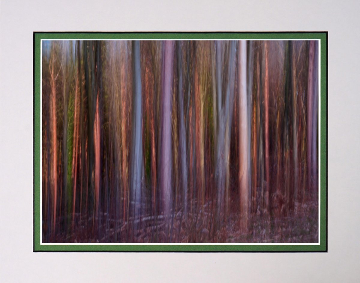 Impressionistic Landscape Photograph By Robin Clarke, 14 X 11", Deep In The Forest 1 Icm, Original Artwork