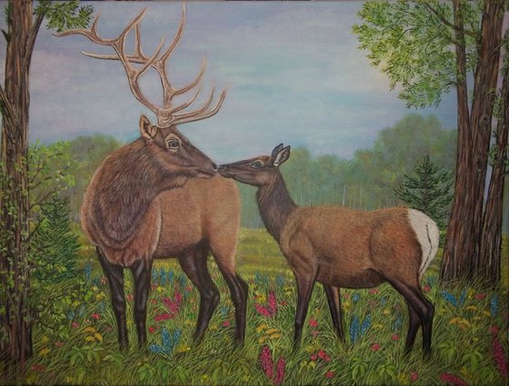 Elk kiss