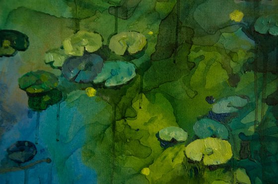 Lily pond. Glimmering