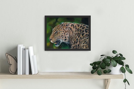 Asian Leopard Portrait