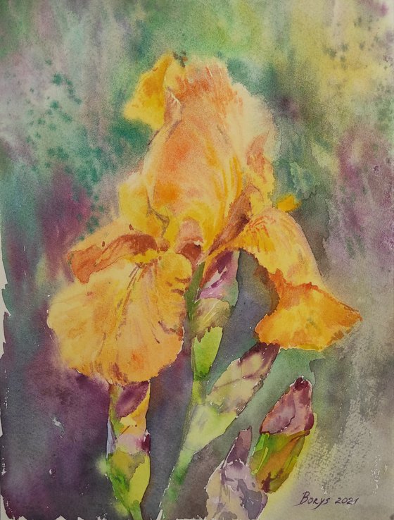 Yellow iris - Painting, original aertwork