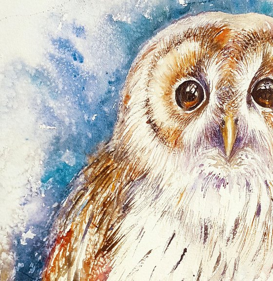 Olga the Tawny Owl