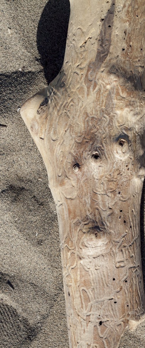 Piece of Wood no.7 by Mattia Paoli