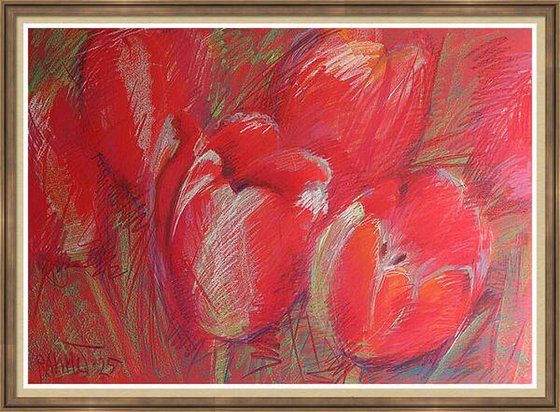 Tulips Red