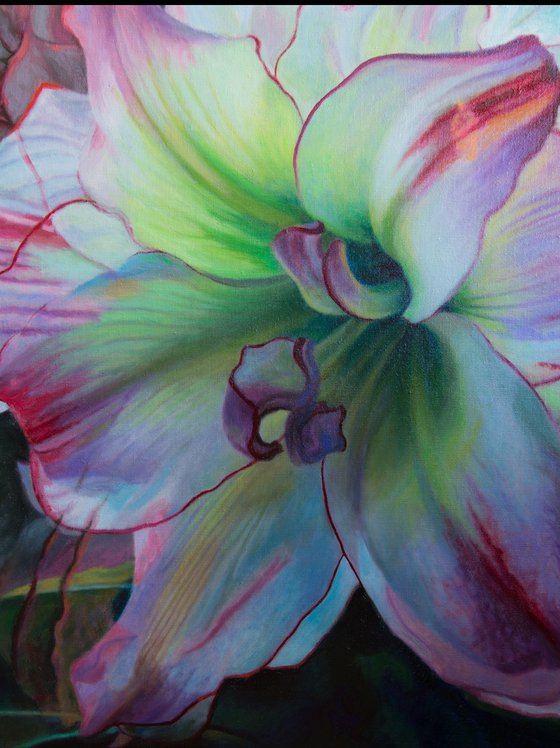 Pink Amaryllis Triptych