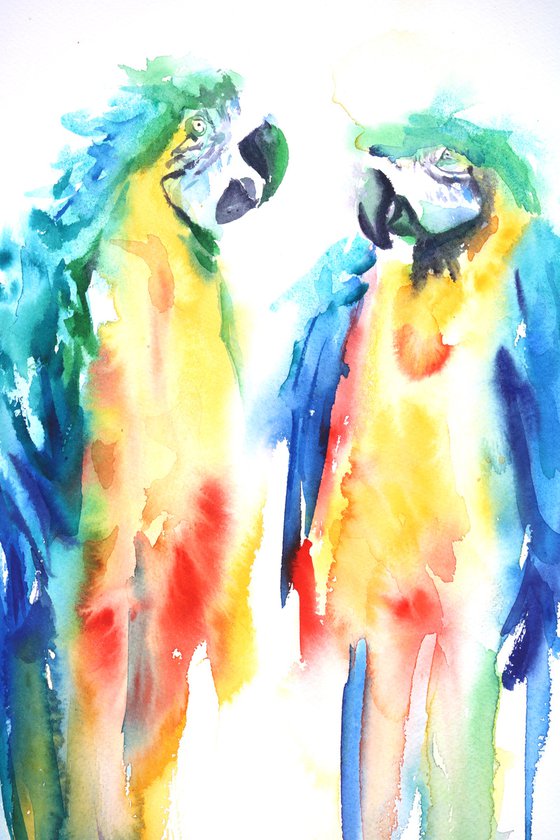 The Two Macaws