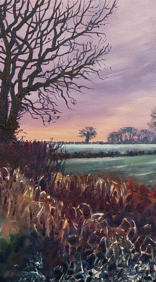 Evening Frost by Zoe Elizabeth Norman