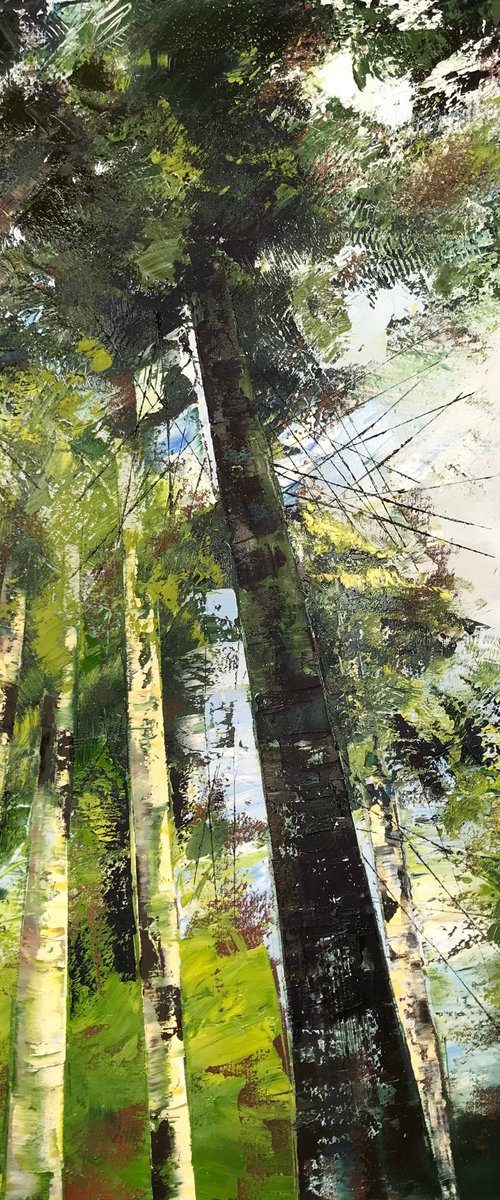 Day Dreaming by Belinda Reynell