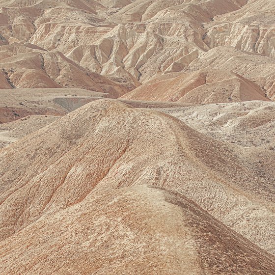 Negev Desert