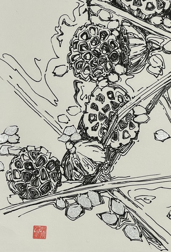LOTUS PODS. SAKURA