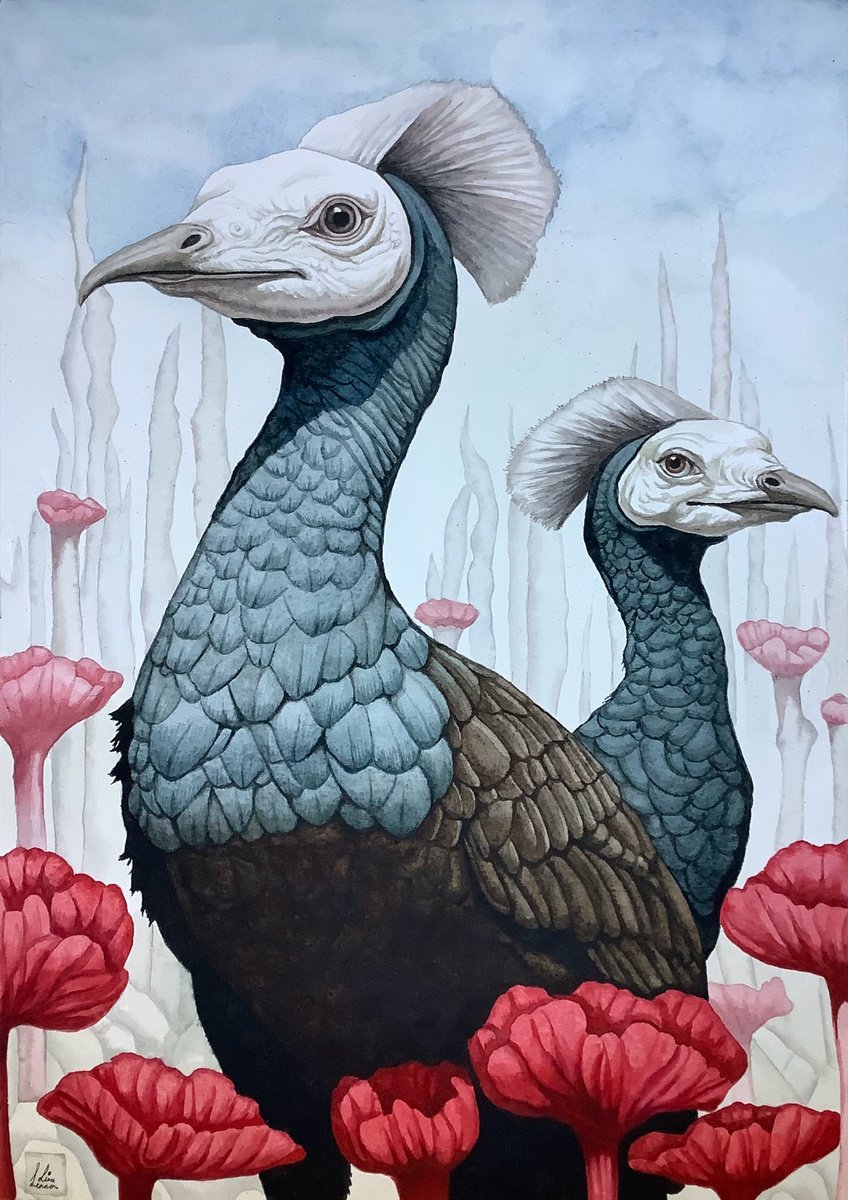 The Birds That Time Forgot by Lisa Lennon