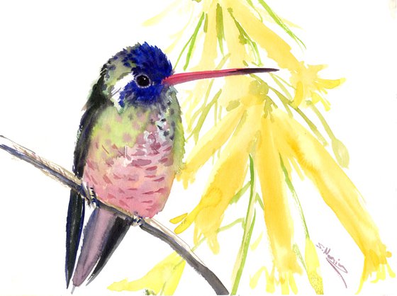 Hummingbird and Yellow Flowers