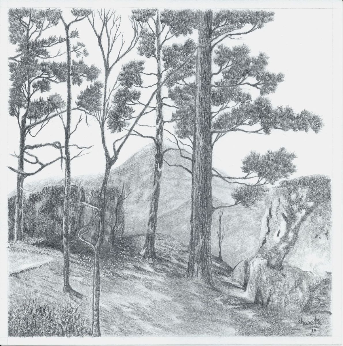 Hawksbill Crag Trail Graphite Drawing by Shweta  Mahajan