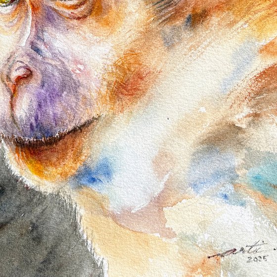 Watchful Monkey