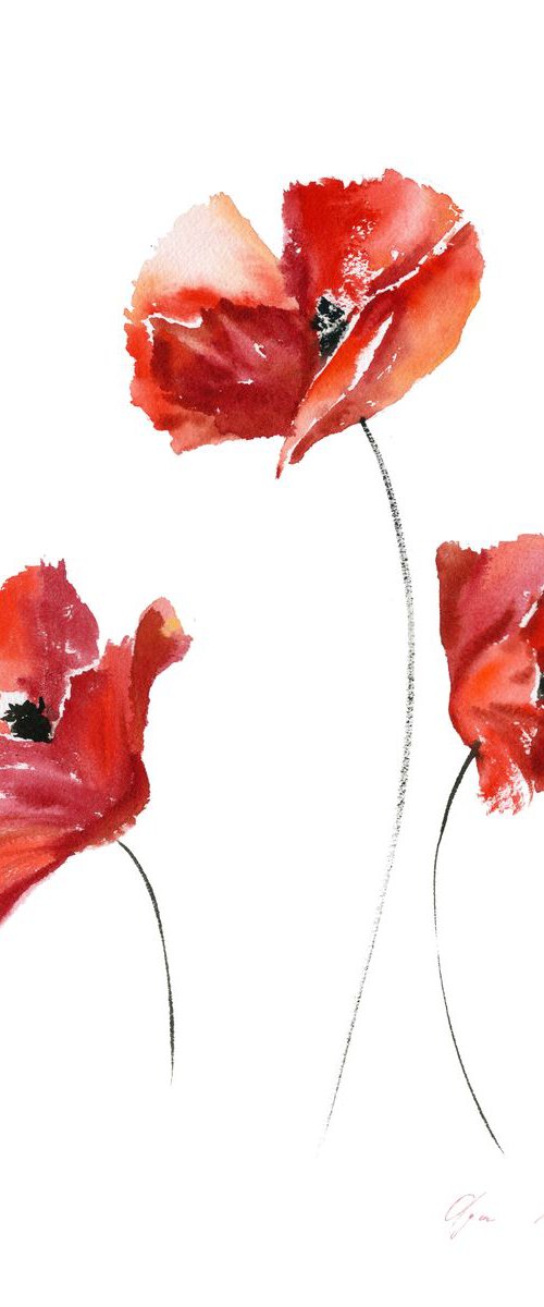 Red Poppies 3 by Olga Koelsch