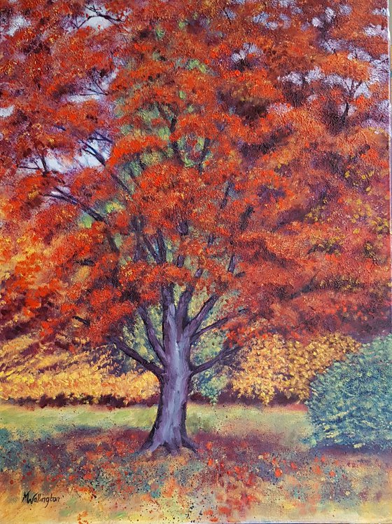 Autumn Tree in the Park
