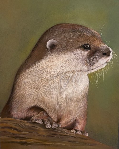 Otter by Maxine Taylor