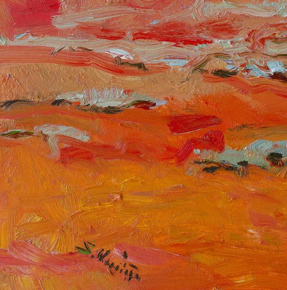 Southwestern Desert