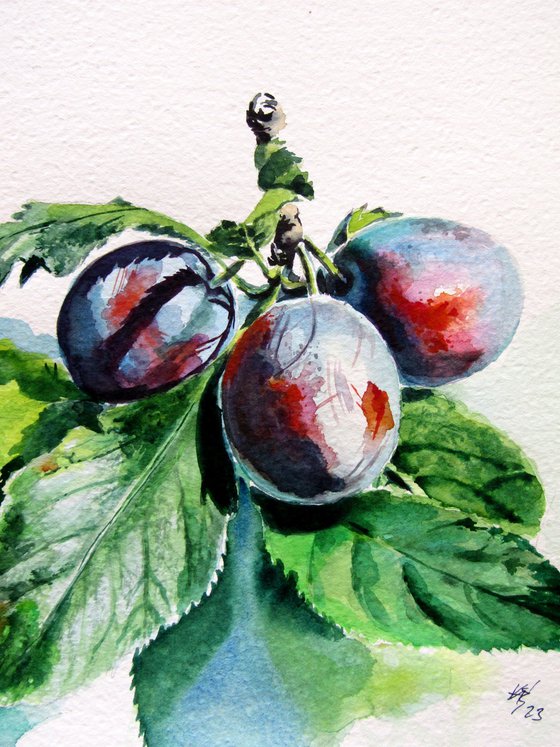 Plum