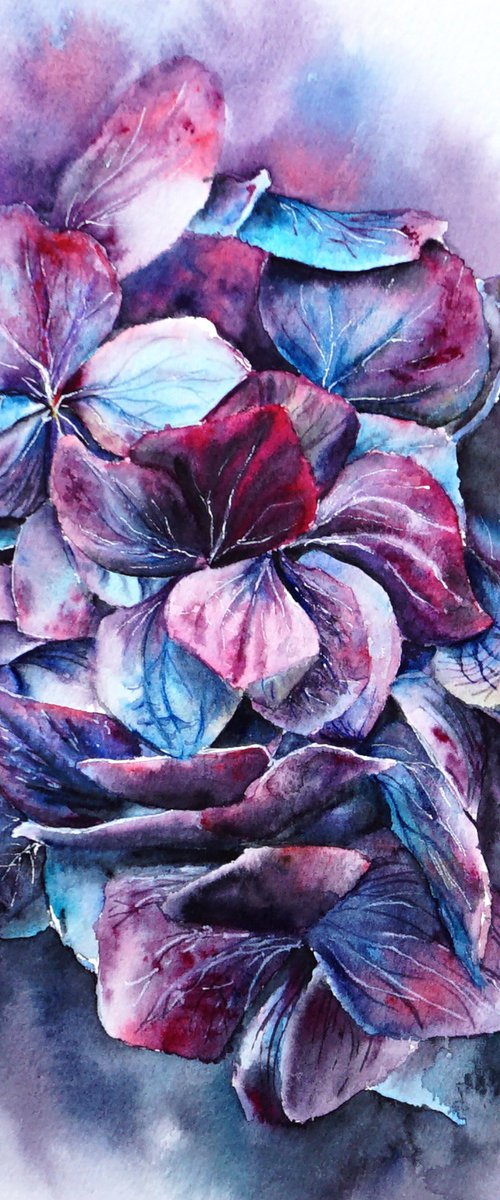 ORIGINAL Watercolor Hydrangea Flowers - Colorful Bouquet - Floral Botanical Art by Yana Shvets