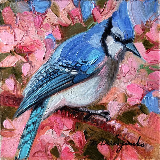 Original Blue jay bird miniatures painting oil, Blue bird painting 4x4 in frame, Nursery wall art pink birdie