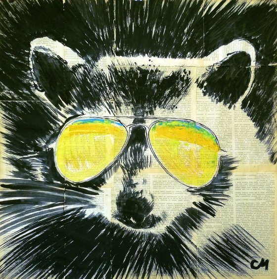 Raccoon