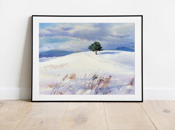 Sunny winter day. Lonely pine tree on a snowy field