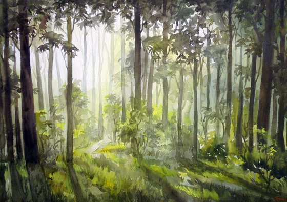 Early Morning light in Forest-Watercolor on Paper
