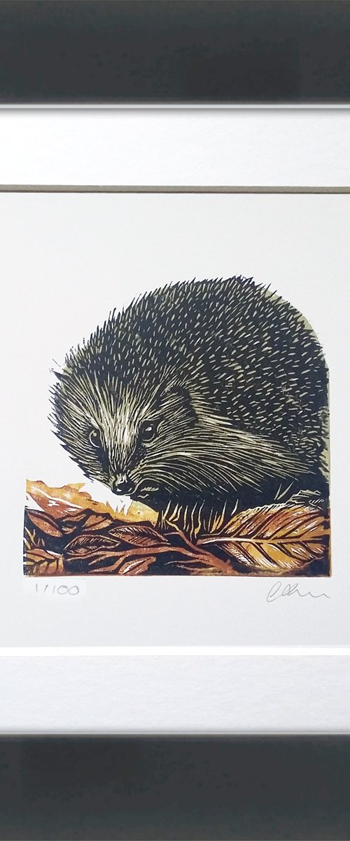 Hedgehog by Carolynne Coulson