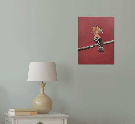 Hoopoe