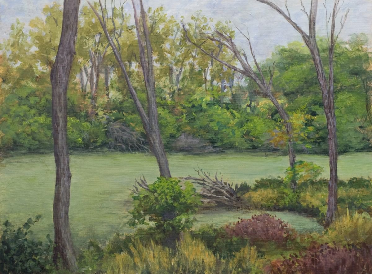 Overcast Day, Skokie Lagoons by John Fleck