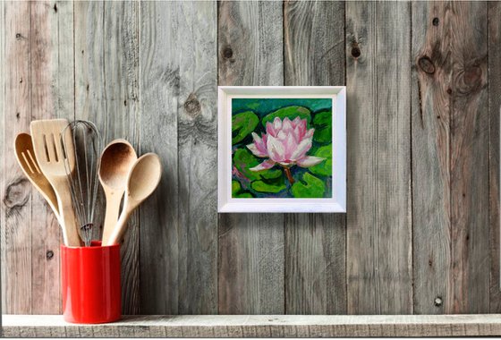 Water Lily