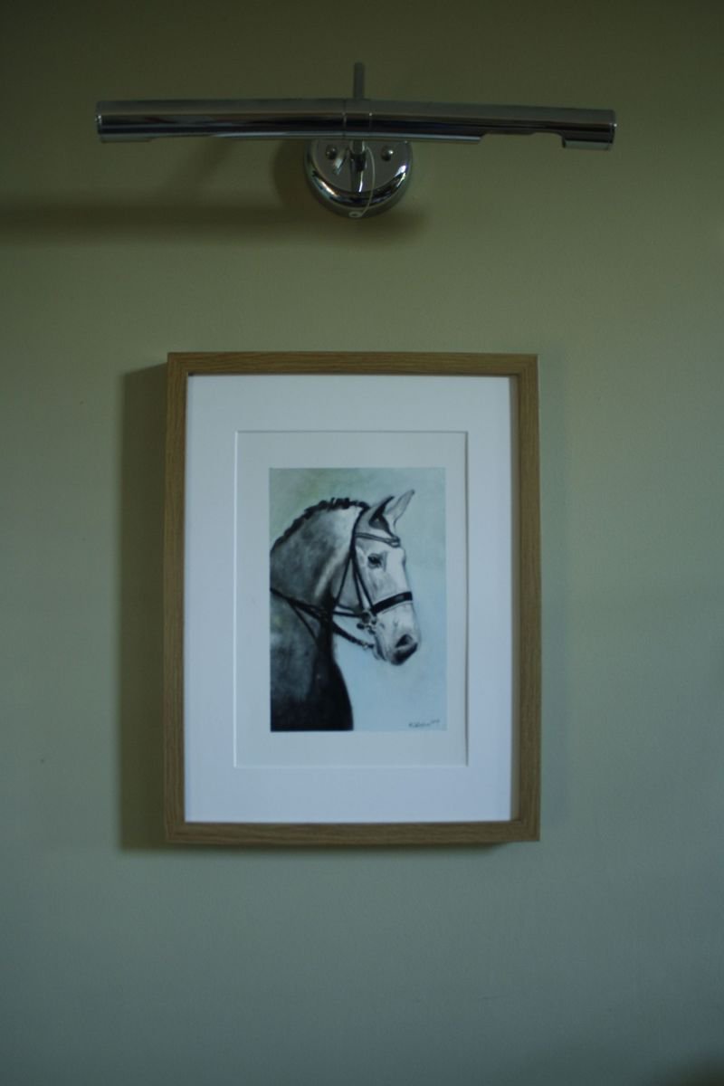 The Dappled Horse by John O