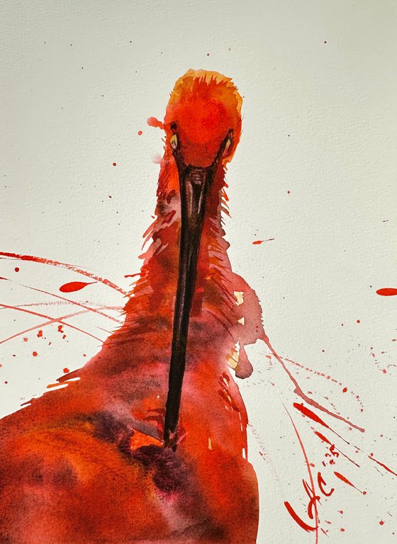 Birds: Two Scarlet Ibises