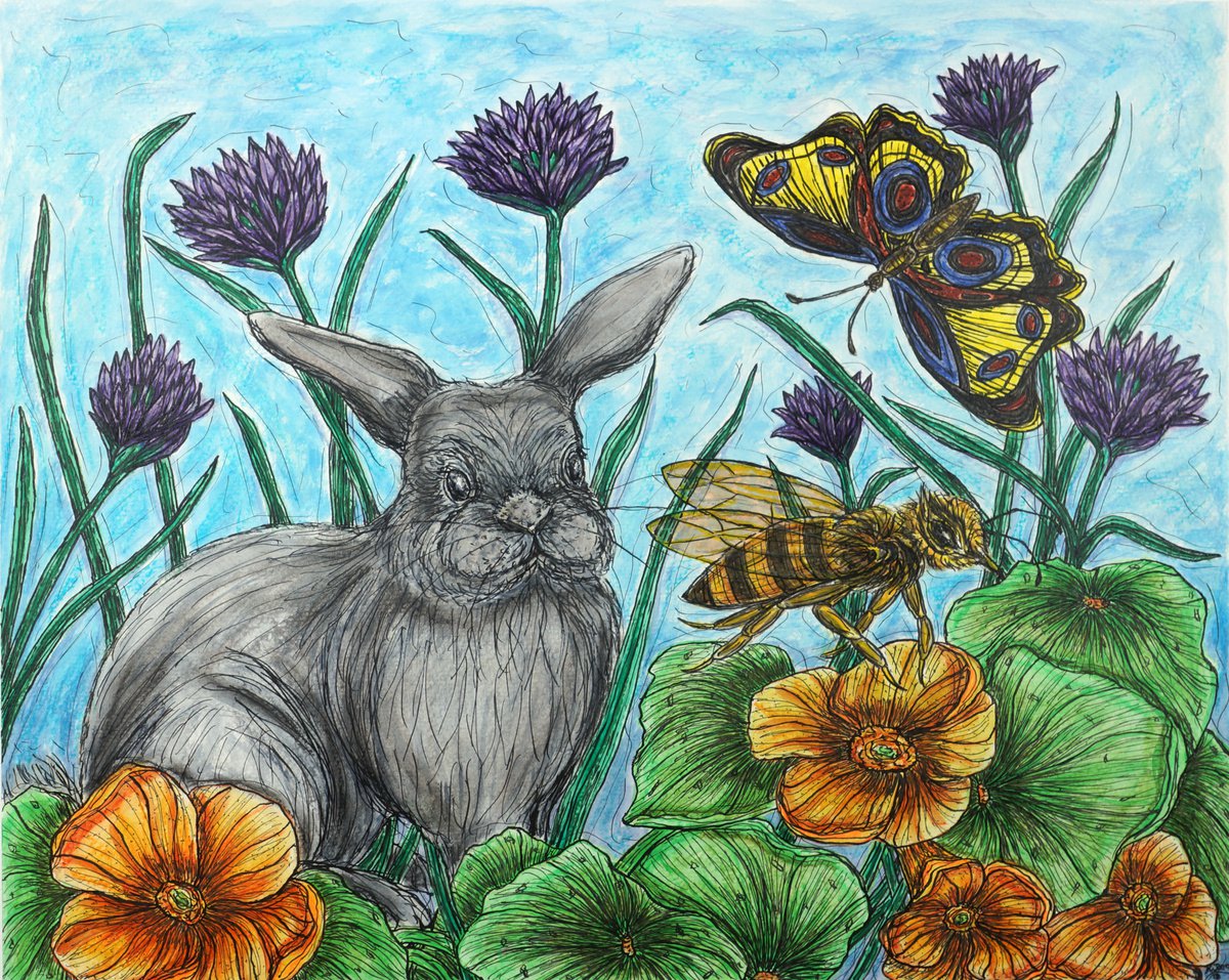 Animal Watercolour By Kim Jones Miller, 20 X 16", Whoa...incoming, Original Artwork