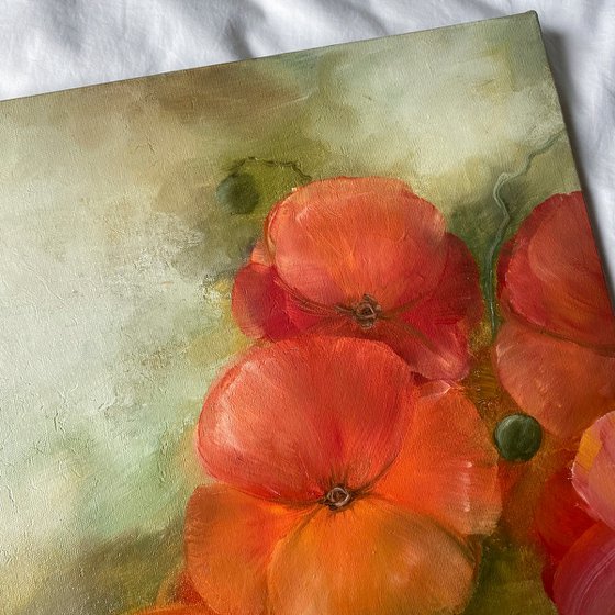 Poppies on Olive