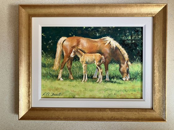 Welsh Cob and Foal