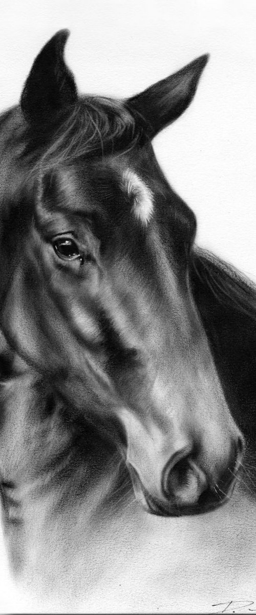 Horse Peter Pan by Danguole Serstinskaja