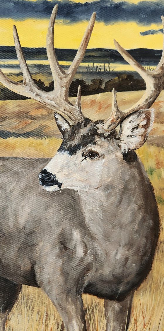 "Prairie Grass" - Landscape - Wildlife - Mule Deer