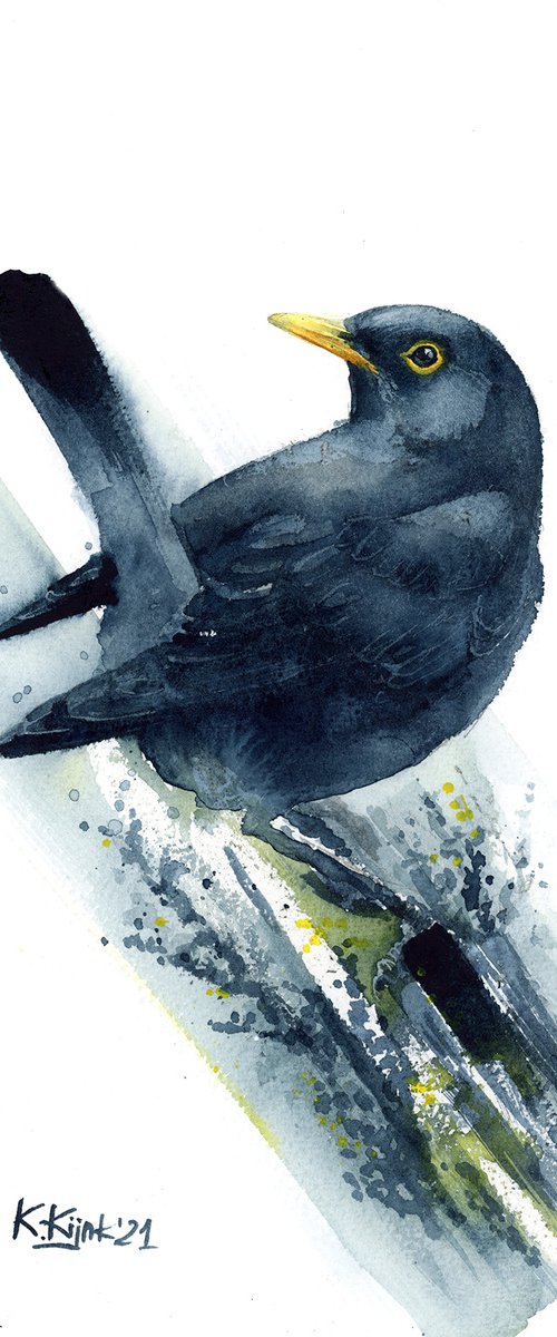 Common blackbird, watercolor of birds and wildlife by Karolina Kijak