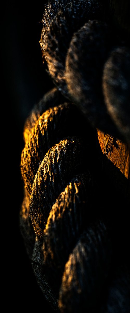Golden Coils by David Huntzinger