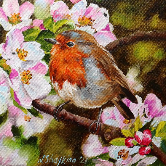 Robin Bird Painting